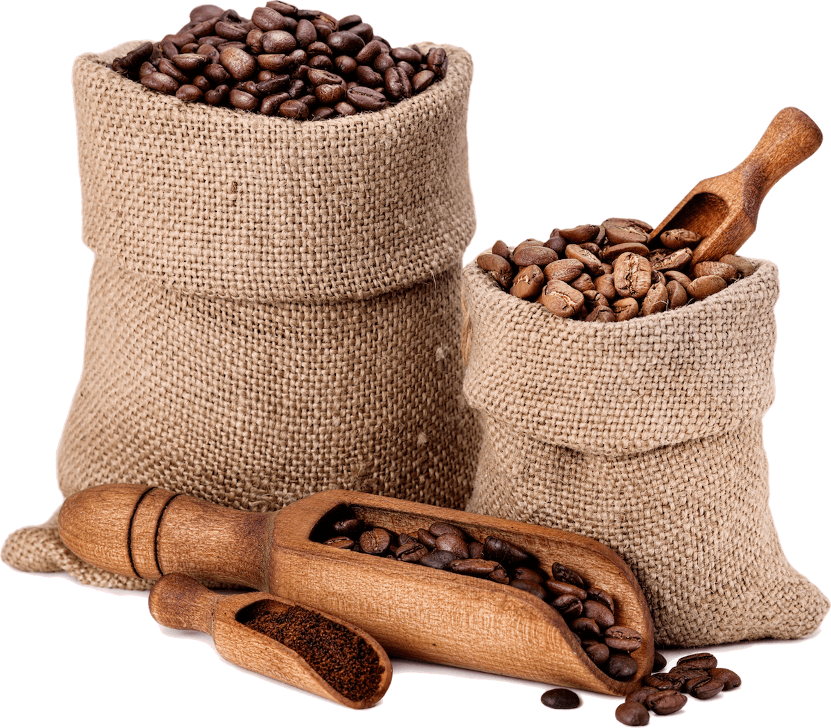 varieties-of-coffee-beans-P8XB6TB.png
